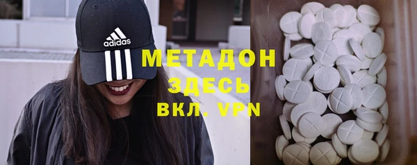 шишки Арсеньев